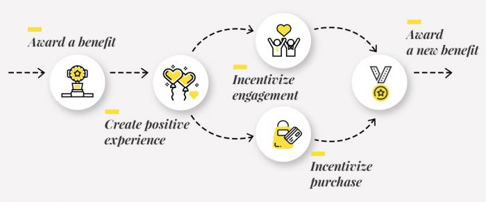 process flow of an Incentivize Program